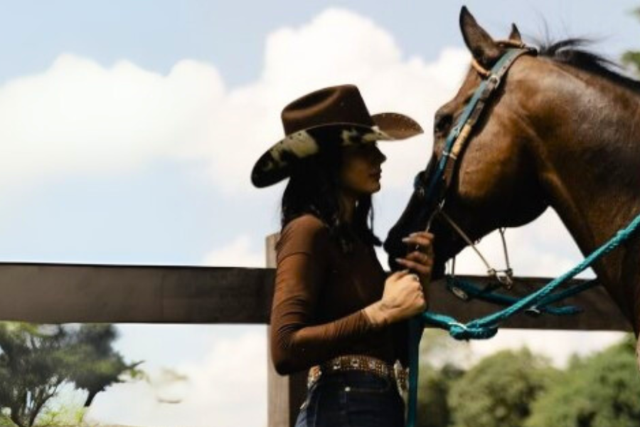 Ana Castela e Luísa Mell cobram justiça a cavalo mutilado